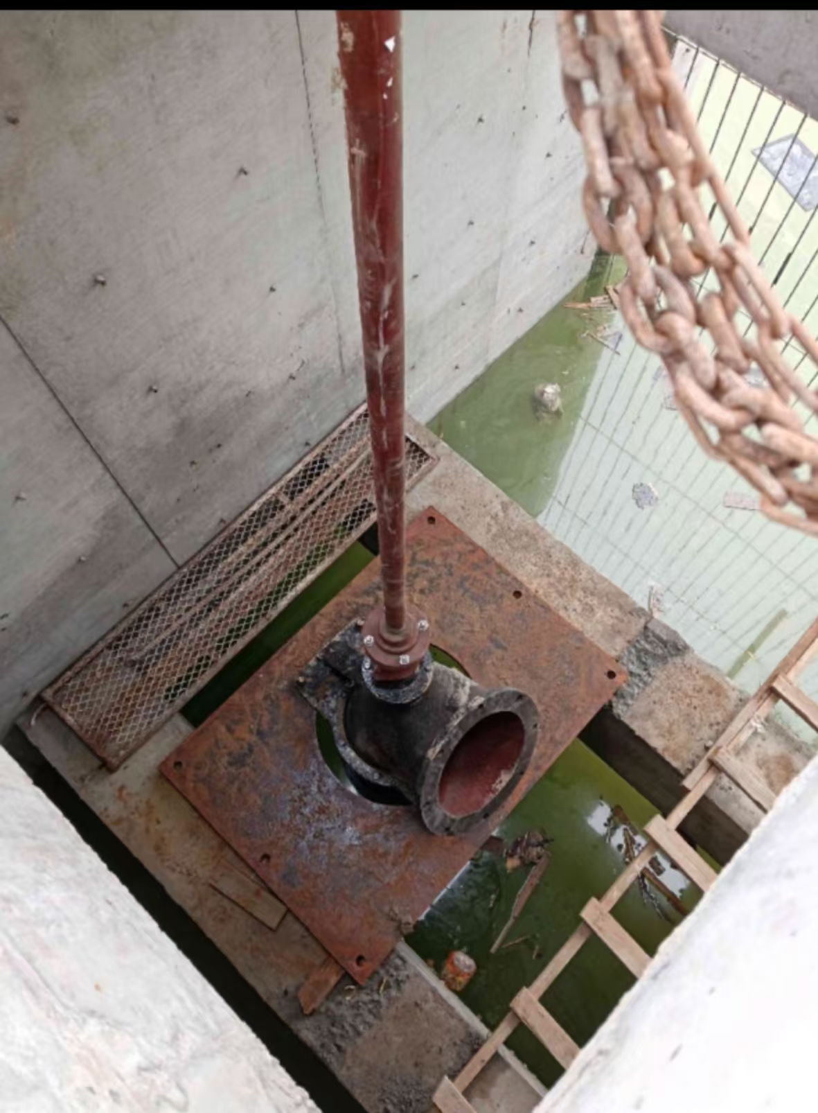 mmexport1728891942624